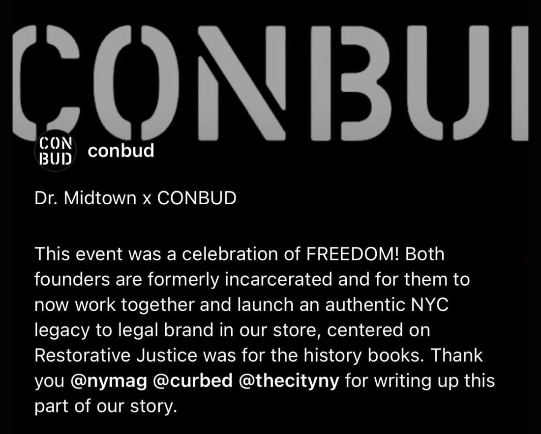 Premium Auto Flower Cannabis Seeds – Available Now at Conbud and Conbud BX